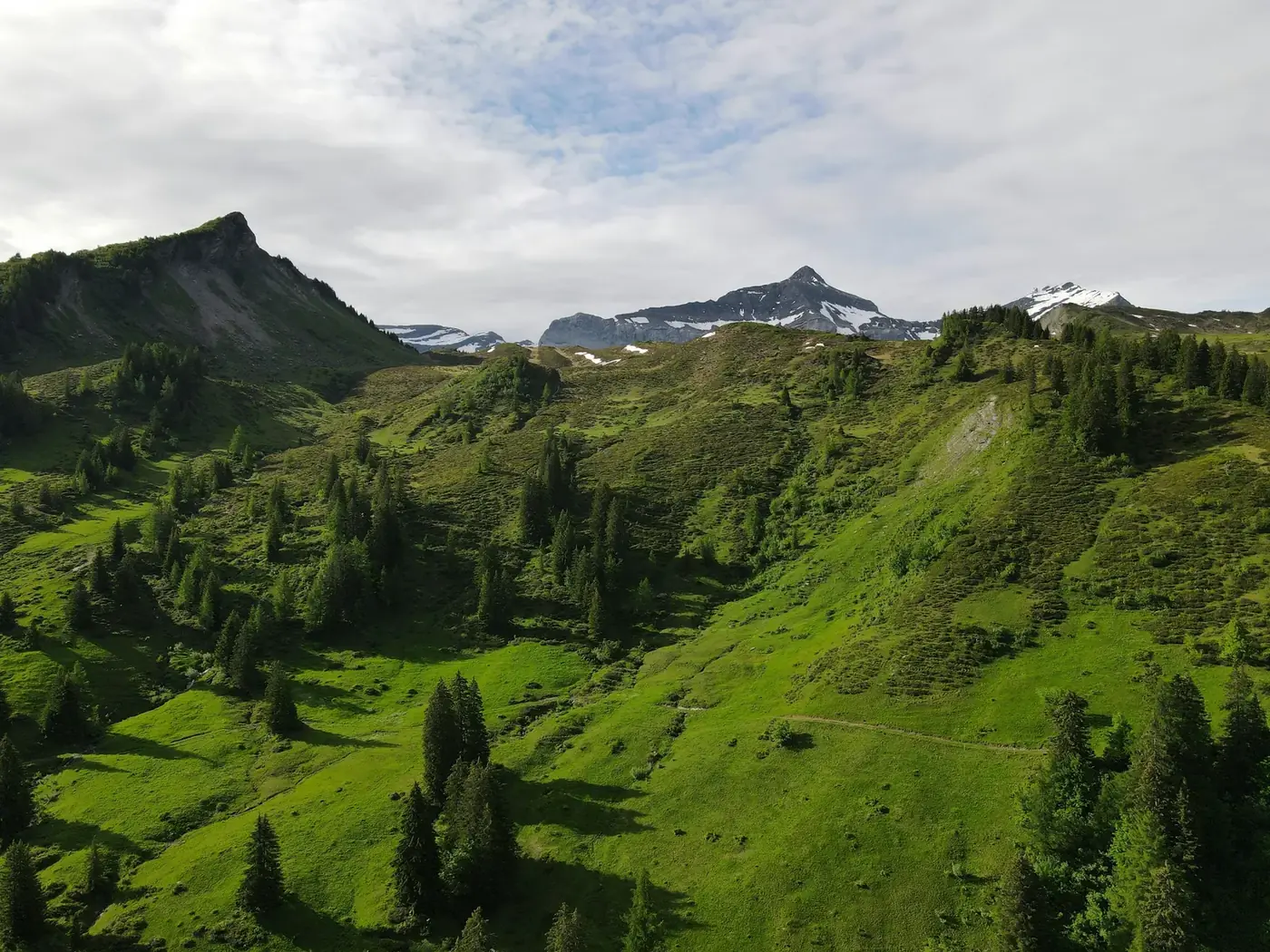 Alpages et sommets suisses sous un ciel voilé